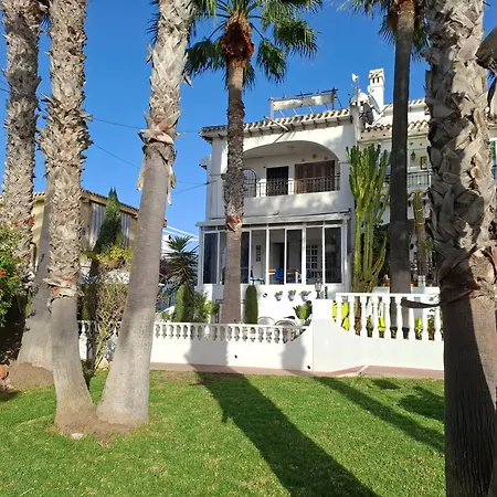 Rosa Torrevieja